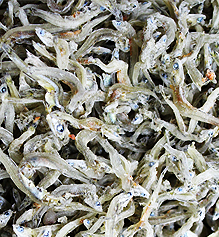 마른멸치 소멸 1.5kg(상품)