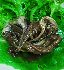 갈치속젓1kg