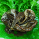 갈치속젓1kg