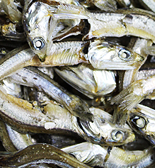 국물멸치 1.5kg(상품), (중품)
