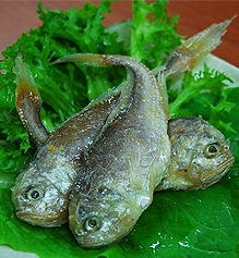 황석어젓1kg